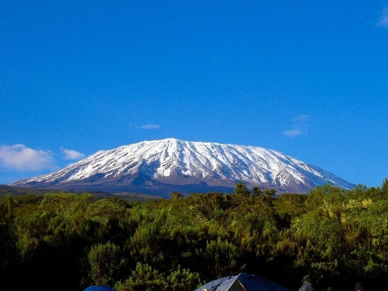 London leading chefs climb Kilimanjaro for charity